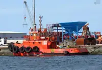 Velkonis pārdošanā