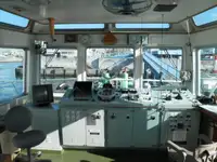 Velkonis pārdošanā