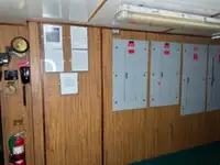 Velkonis pārdošanā