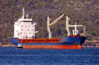 Beramkravu kuģis pārdošanā