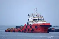 Velkonis pārdošanā