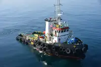 Velkonis pārdošanā