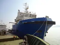 Velkonis pārdošanā