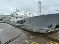 Kuģis ar āķu jedām pārdošanā