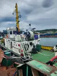 Velkonis pārdošanā