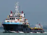 Velkonis pārdošanā