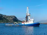 Velkonis pārdošanā