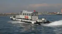 Velkonis pārdošanā