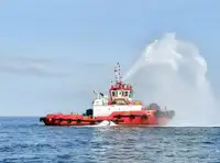 Velkonis pārdošanā