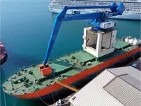 Liellaiva pārdošanā