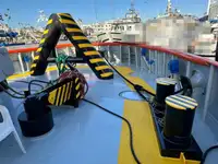 Velkonis pārdošanā