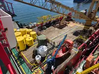 Liellaiva pārdošanā