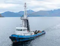 Velkonis pārdošanā